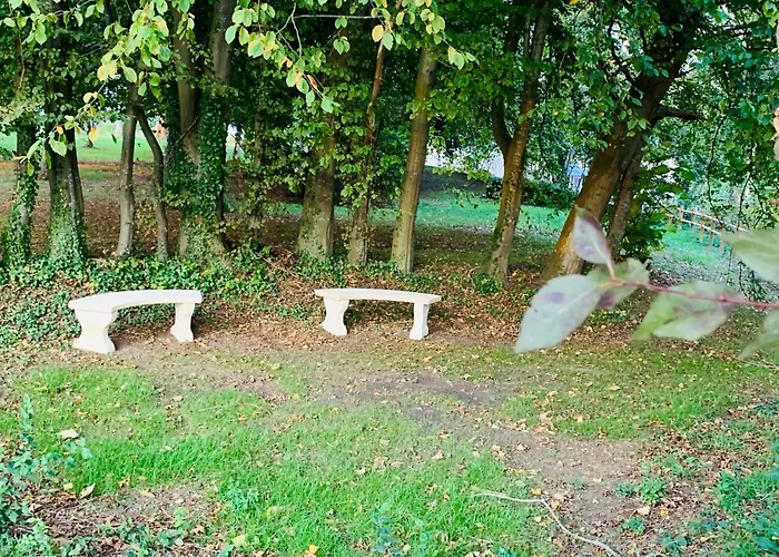 Gite Du Parc Du Moulin Du Pre
